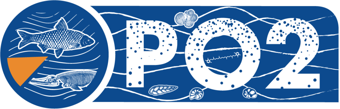PO2 Workshop